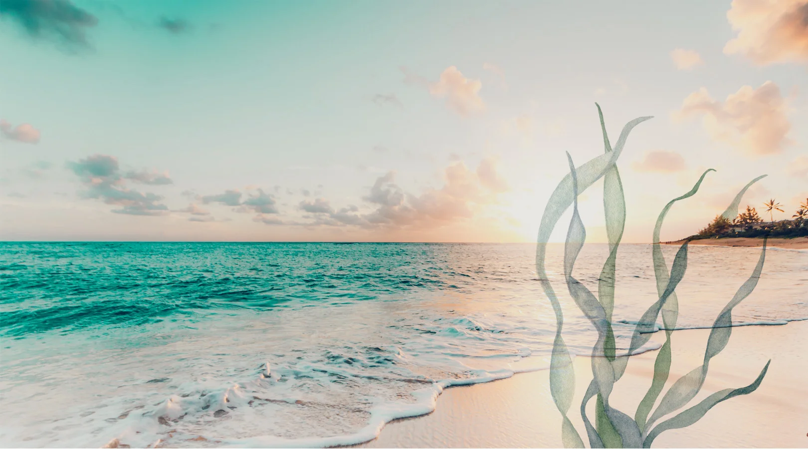 Ideally Edifício Platinum