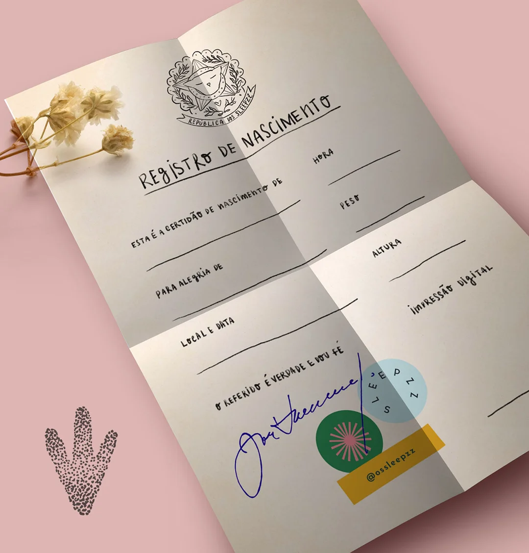 Sleepzz pra viagem: Registro de Nascimento
