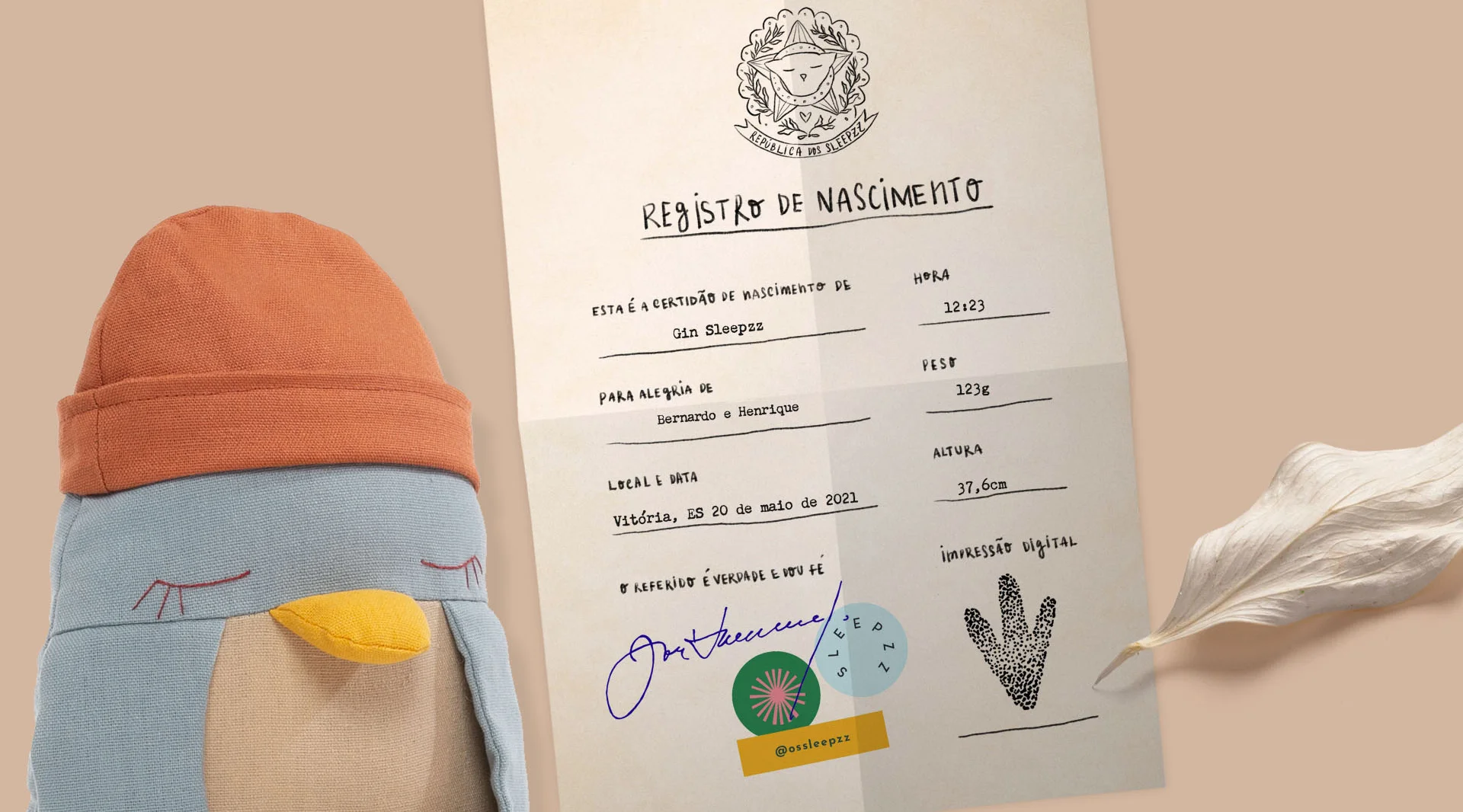 Sleepzz pra viagem: Registro de Nascimento