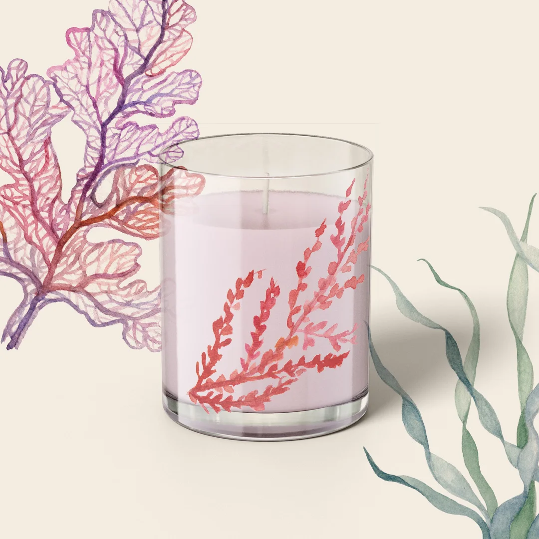 Ideally Edifício Platinum Brinde